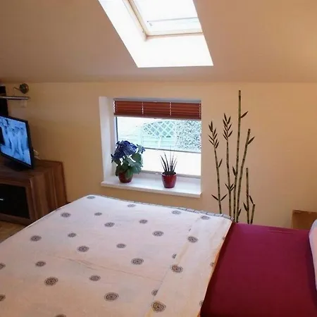 Spiegelberg - Abc49 Holiday home *